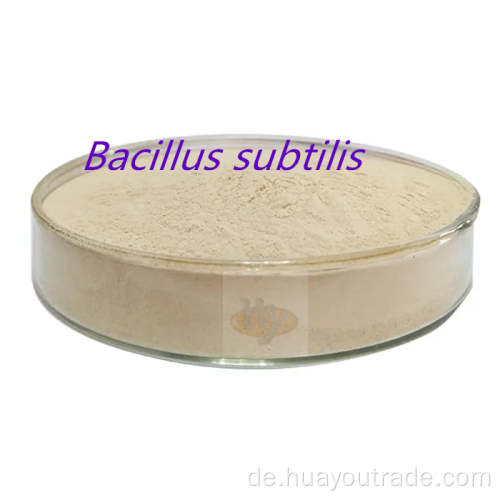 Bacillus subtilis unlösliches Wasser 200cfu/g
